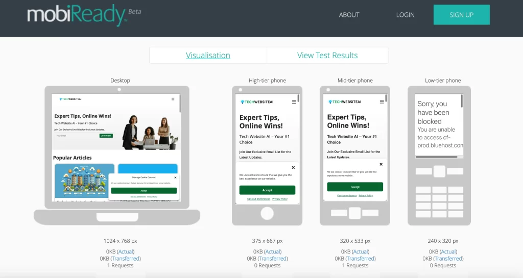 Website Optimization Services: MobiReady